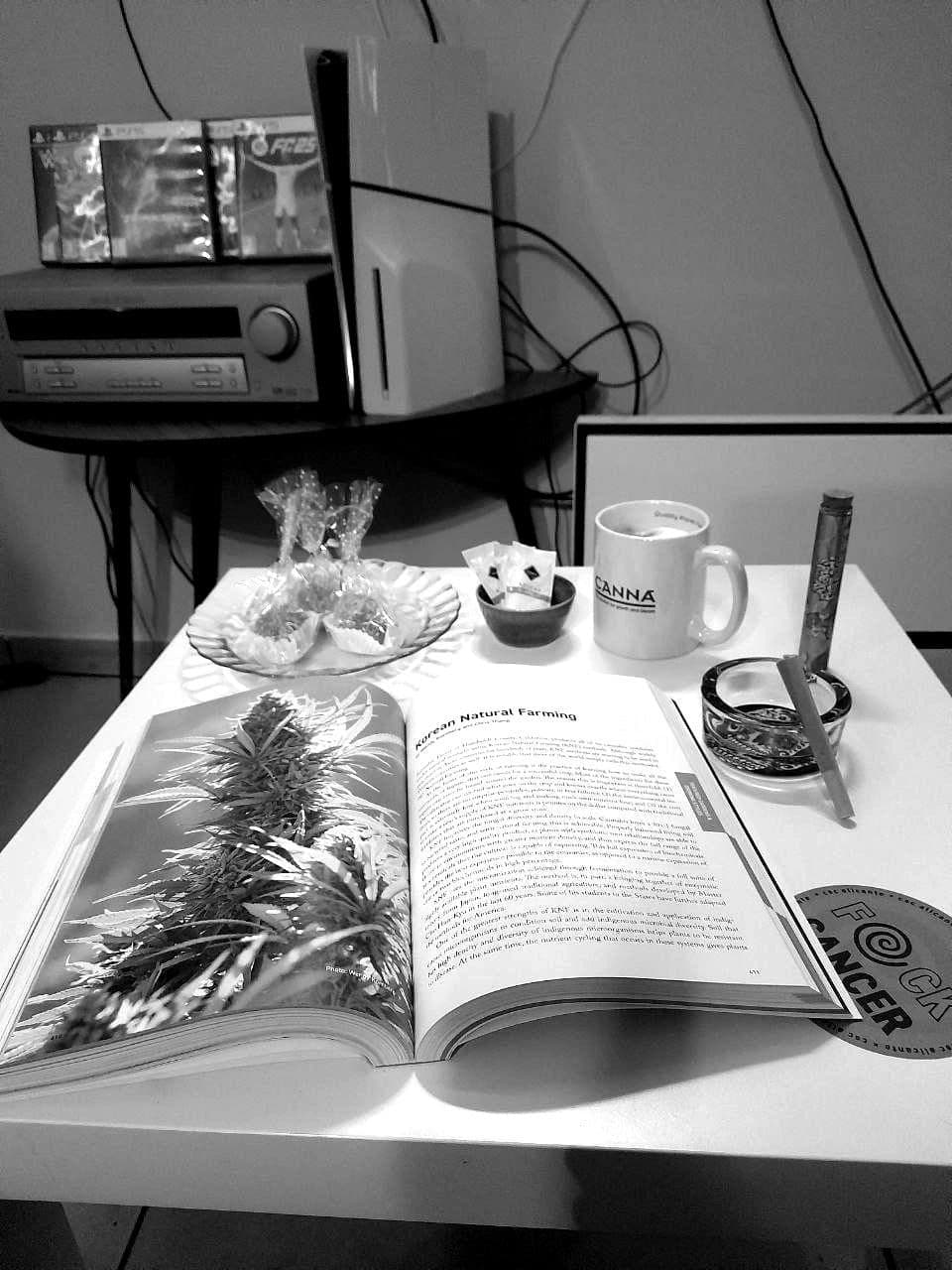Club table with a growing guide, CANNA mug and rolled joints
